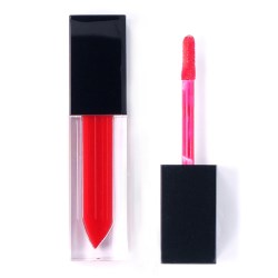 Beaunion Lipgloss Packaging for Liquid Lipstick